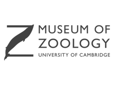 Clients (museum of zoology)